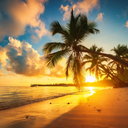 Punta Cana - Verano 2027